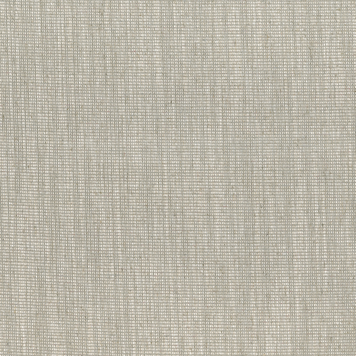 TATAMI 16